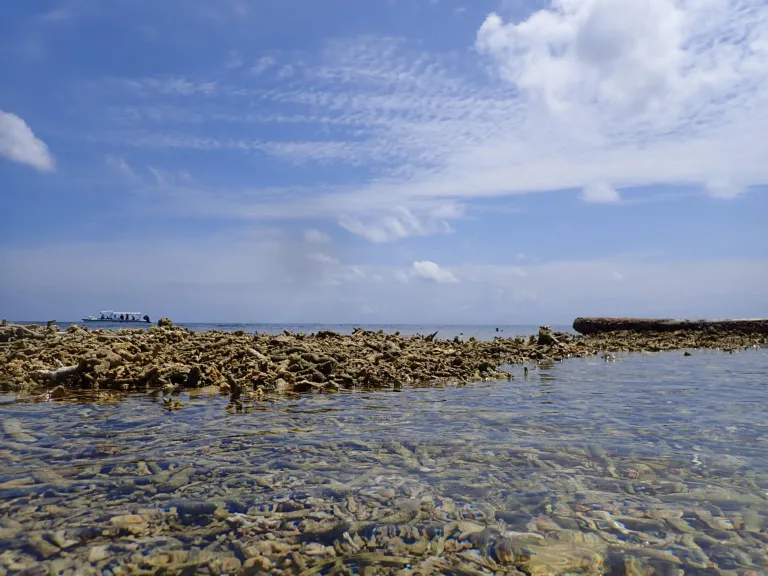 shingle rampart lumulumu