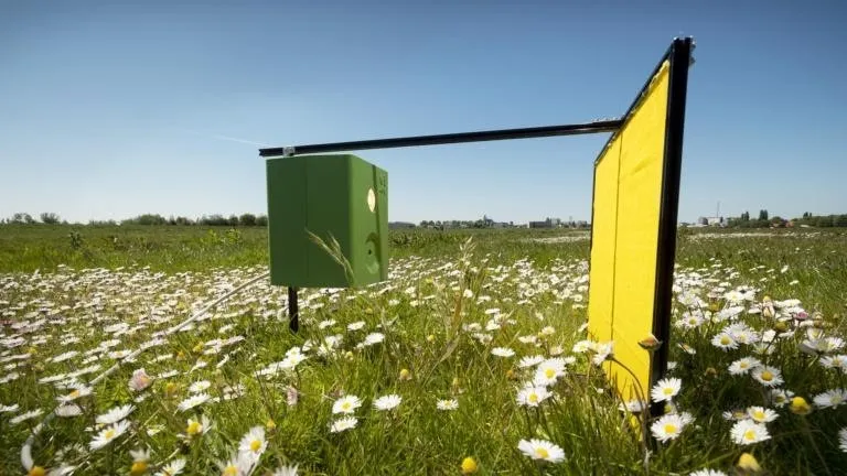 Automatische insectencamera