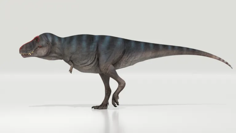 New field: the biomechanics of enormous tails