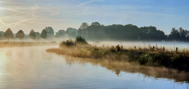 Nederlands landschap