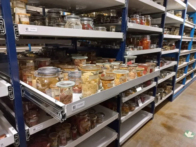 Potten vol met zacht koraal op sterk water