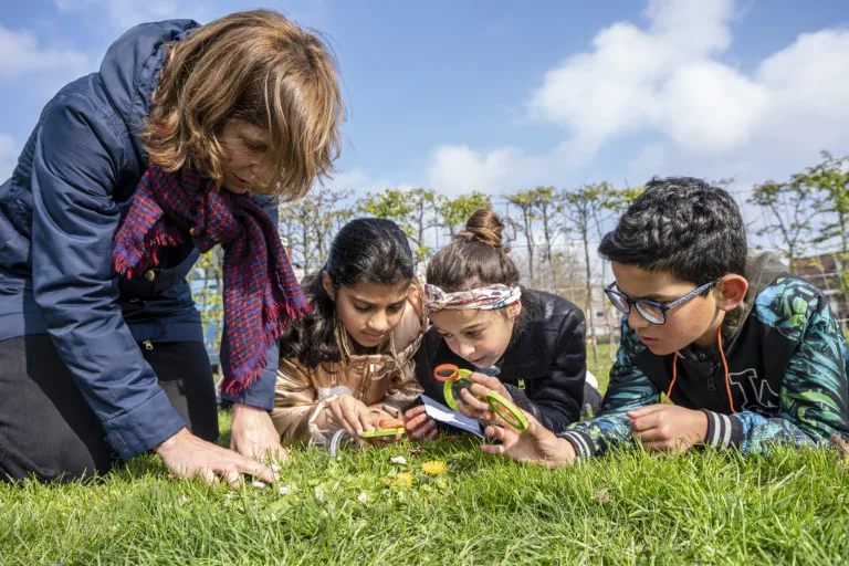 Dieren zoeken in het gras