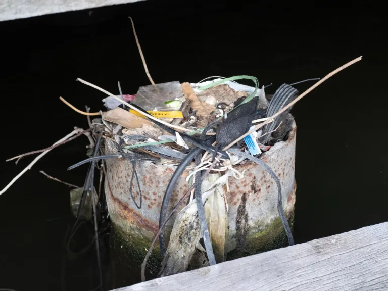 Meerkoetennest op het Rokin