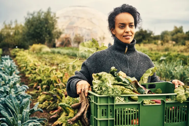 Een jonge vrouw oogst groenten op een veld in Denemarken